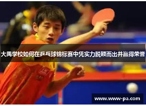 大禹学校如何在乒乓球锦标赛中凭实力脱颖而出并赢得荣誉