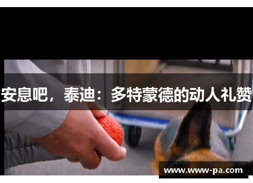 安息吧，泰迪：多特蒙德的动人礼赞