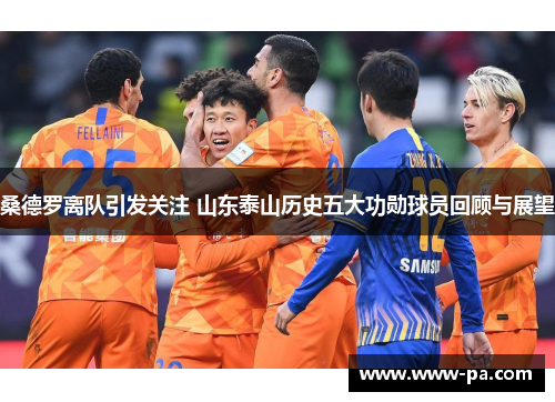 桑德罗离队引发关注 山东泰山历史五大功勋球员回顾与展望