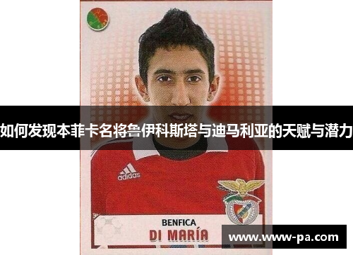 如何发现本菲卡名将鲁伊科斯塔与迪马利亚的天赋与潜力