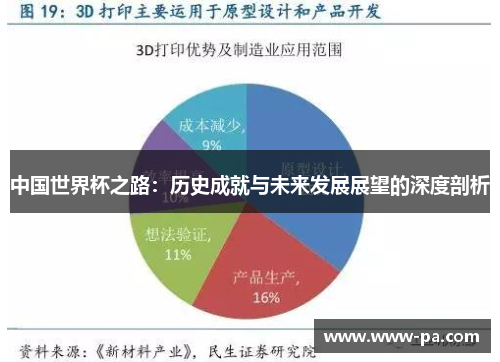 中国世界杯之路：历史成就与未来发展展望的深度剖析