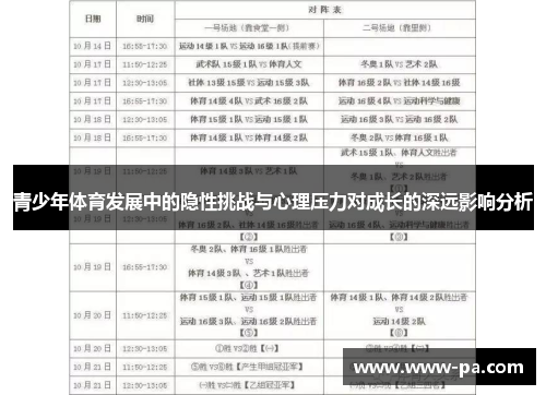 青少年体育发展中的隐性挑战与心理压力对成长的深远影响分析