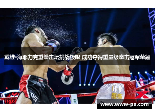 戴维·海耶力克重拳击坛挑战极限 成功夺得重量级拳击冠军荣耀