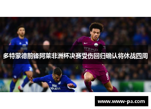 多特蒙德前锋阿莱非洲杯决赛受伤回归确认将休战四周